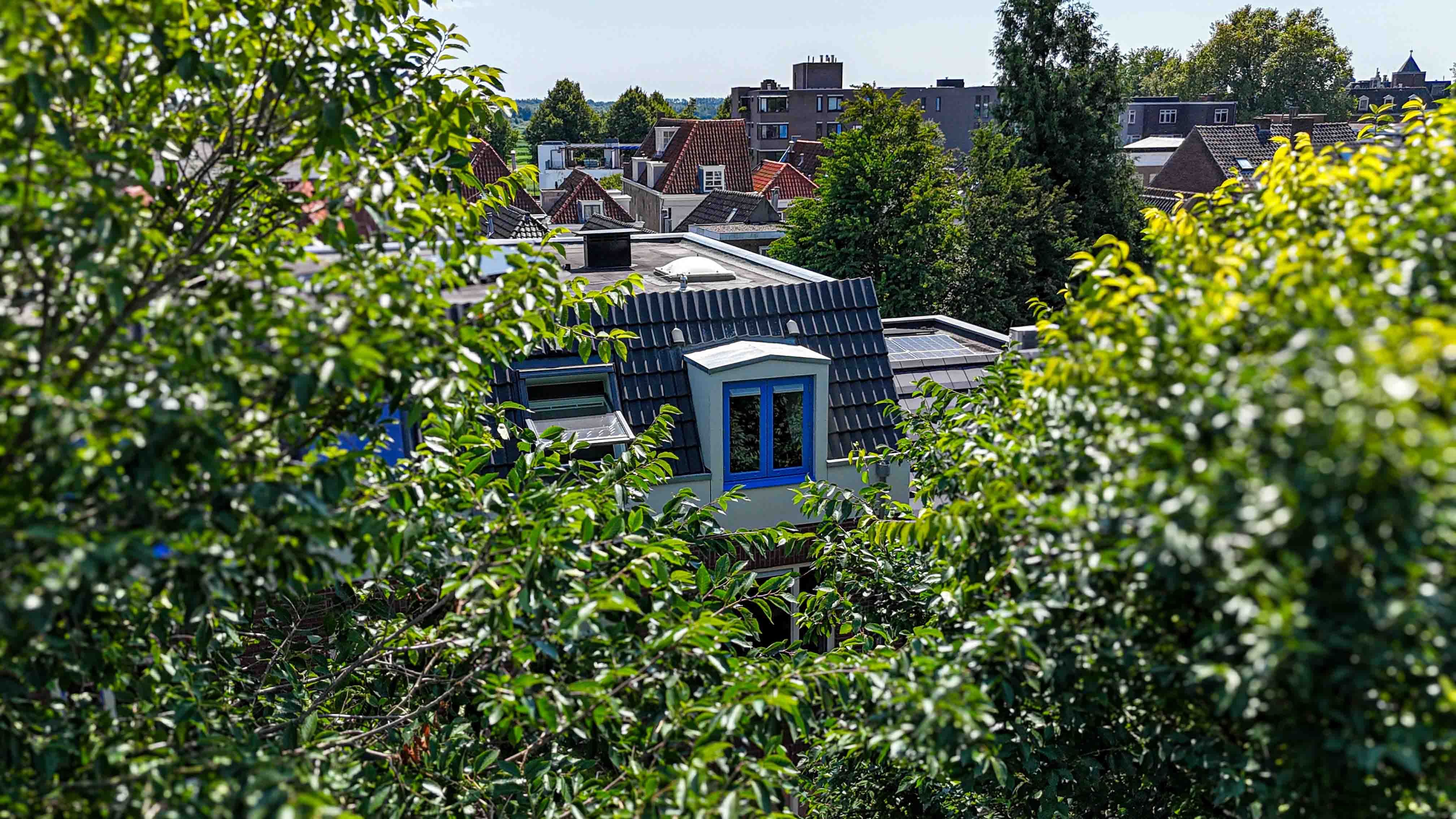 20240730-de-waal-kozijnen-westwal-den-bosch-low-res-3.jpg